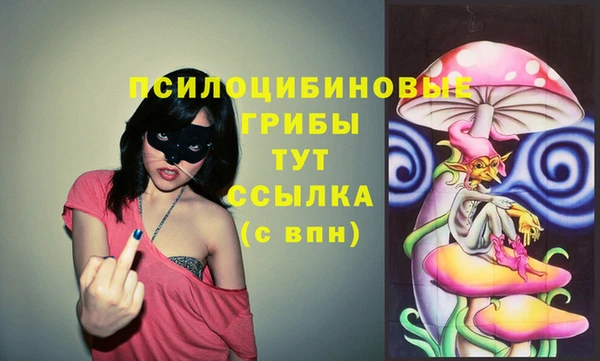 не бодяженный Богородск