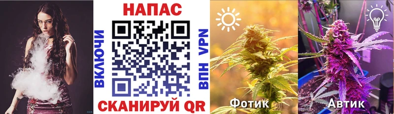 Марихуана White Widow  даркнет клад  Томск  купить закладку 